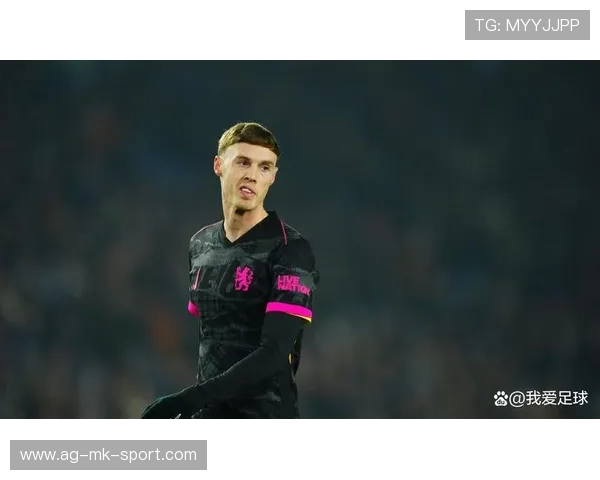 帕尔默状态波动引发持续讨论