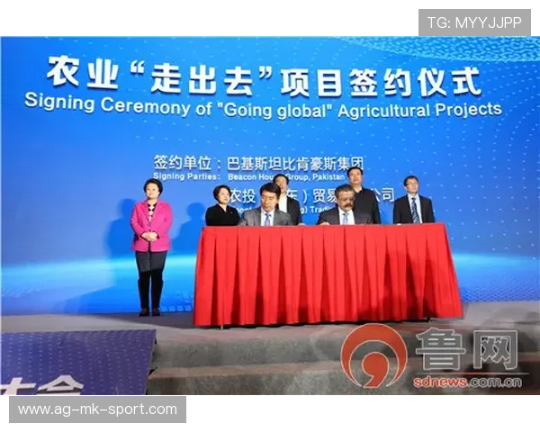 国际游泳协会在赛事筹备中推广绿色后勤与可持续物资使用，国际业余游泳联合会管理的项目有哪些