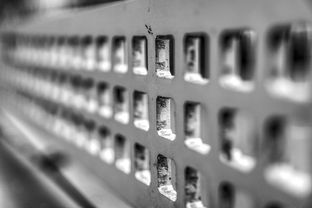 mk体育平台登录入口-高校运动损伤预防技术及应用研究进展,运动损伤与防治试课题答案