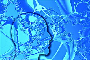 mk体育官网-中国足球未来发展规划不明朗,中国足球发展方向