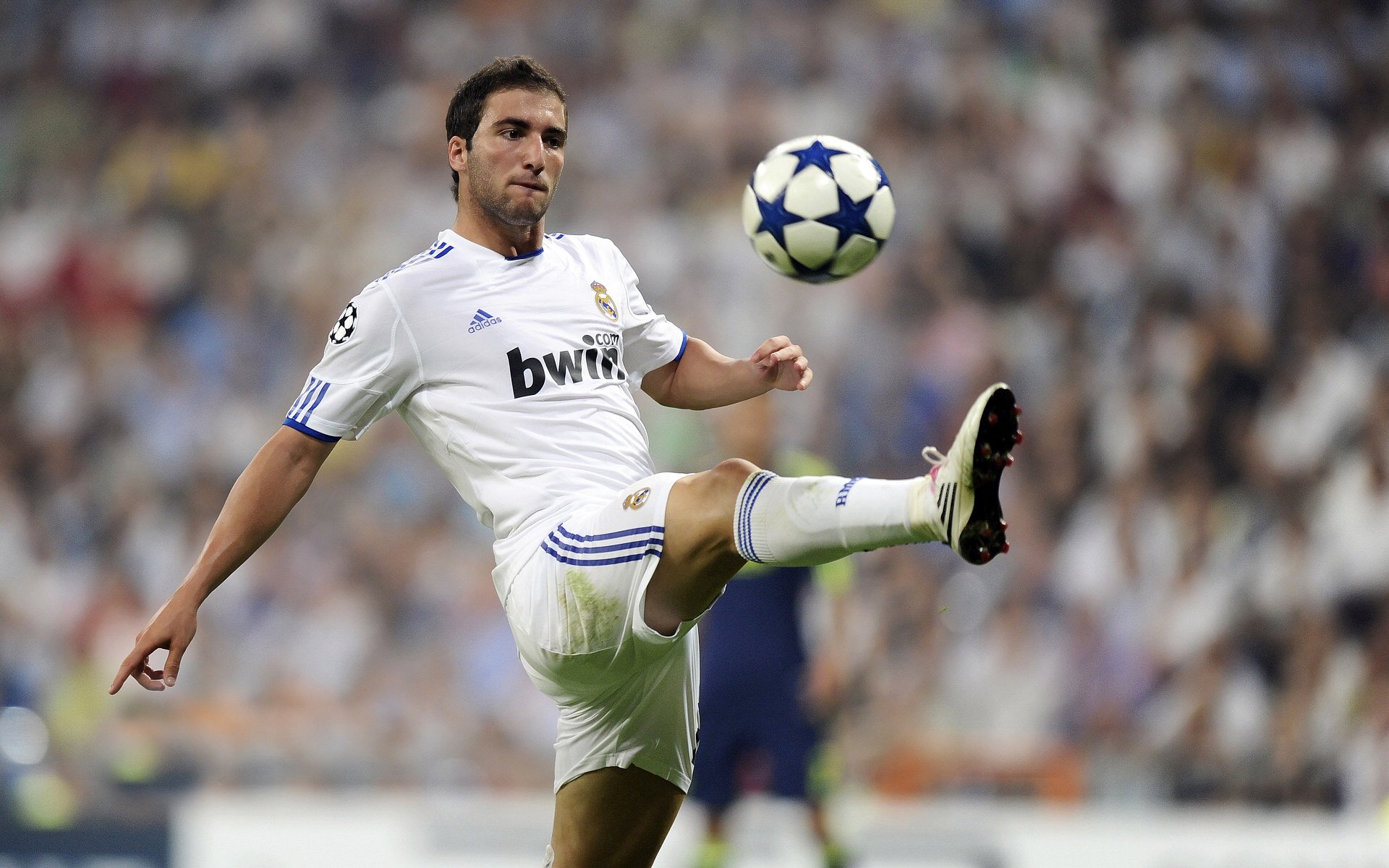 mk体育全站-校园足球师资继续培训渠道匮乏，校园足球师资培训制度