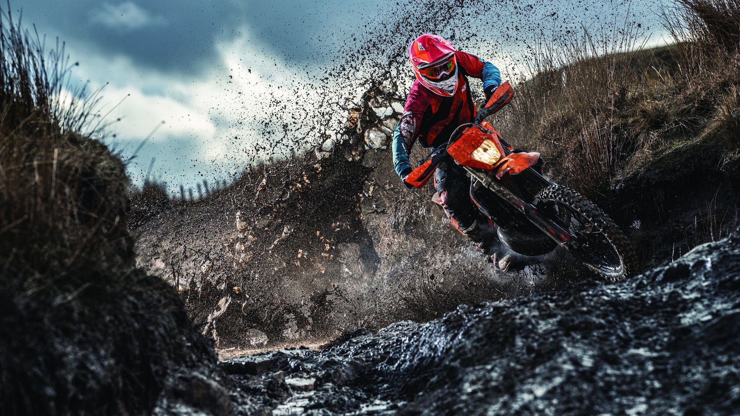 mk体育全站-瑞典队乒乓战术:用速度与变化打乱对手节奏,瑞典乒乓球巅峰时期