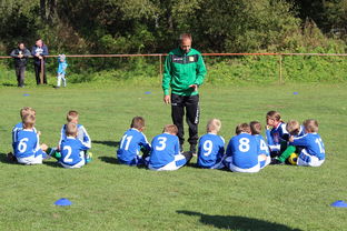 mk体育-五大联赛外援数量变化影响战术布置,五大联赛外援数量变化影响战术布置吗