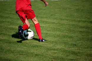 mk体育官网入口-俱乐部青训成果转化 选手成功进入职业联赛,充分利用俱乐部的青训系统培养球员